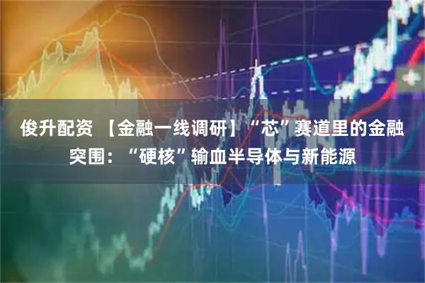 俊升配资 【金融一线调研】“芯”赛道里的金融突围：“硬核”输血半导体与新能源