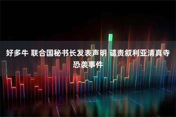 好多牛 联合国秘书长发表声明 谴责叙利亚清真寺恐袭事件