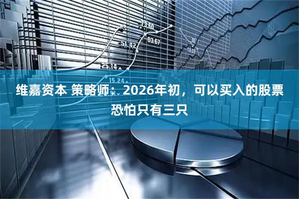 维嘉资本 策略师：2026年初，可以买入的股票恐怕只有三只