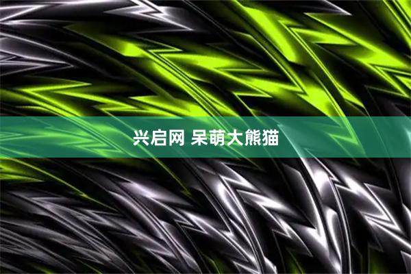兴启网 呆萌大熊猫