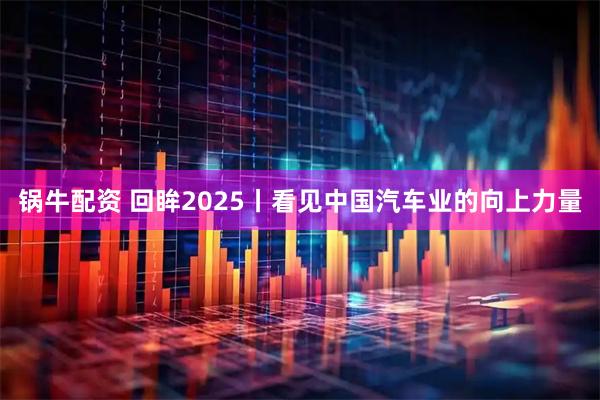 锅牛配资 回眸2025丨看见中国汽车业的向上力量