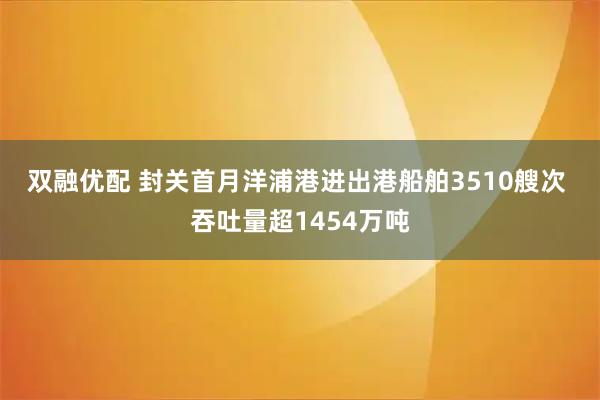 双融优配 封关首月洋浦港进出港船舶3510艘次 吞吐量超1454万吨