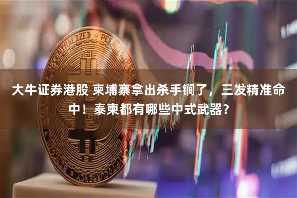 大牛证券港股 柬埔寨拿出杀手锏了，三发精准命中！泰柬都有哪些中式武器？